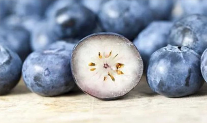 国际蓝莓组织报告：中国成最大蓝莓生产国 高产品种带动全球产量增长