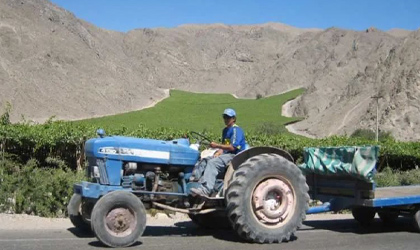 智利葡萄产业发布全新战略计划 2022/23季新晋品种产量将超过传统品种