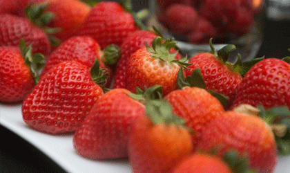 首批加州草莓抵华 行业组织畅谈明年计划