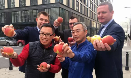 金果源：首批波兰苹果近日直航中国 大量海运下月抵达
