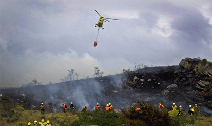智利发生史上最严重森林火灾 行业评估灾害损失