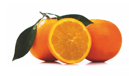 新季赣南脐橙启动出口 本季贸易额有望突破4亿元