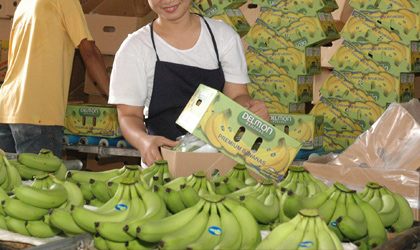 中国10亿美元购买菲律宾农产品 多个新水果品项有望获准入