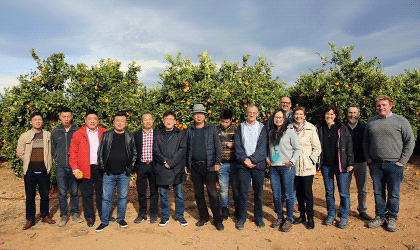 中国水果批发商团访问西班牙果业