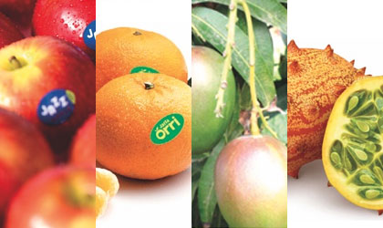 行业观点：新晋进口水果产品中国市场前景浅谈