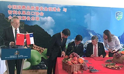 智利水果出口协会与中国签署协议 加深种植与进出口双向合作”