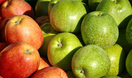 阿根廷苹果、梨出口量骤减18.5%