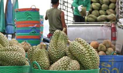 泰国水果：今年前四月对华出口同比增长152.7%