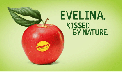 意大利苹果苗圃Feno首秀中国 主推Evelina等独家新品种