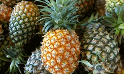 泰国政府资助合作社Siamtana 助力新鲜菠萝出口增长