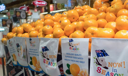 中国强劲需求带动澳洲柑橘出口 前八月贸易额近15亿元实现新纪录