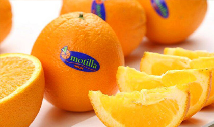 亚洲国际果蔬展热点回顾（二）：西班牙柑橘强势开发中国市场