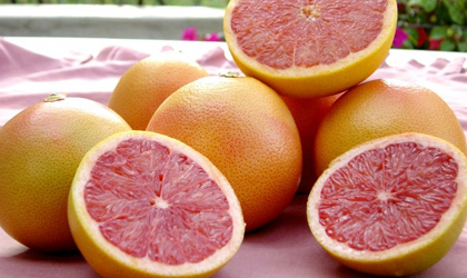 南非柑橘：桔子对华出口逆势增长30%