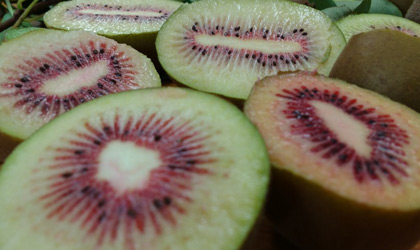 新西兰政府3000万元投资佳沛创新 全力打造奇异果新品种实现9亿元贸易增长
