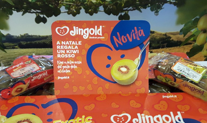 意大利Jingold：推出三色装猕猴桃产品 致力开发更多新品种