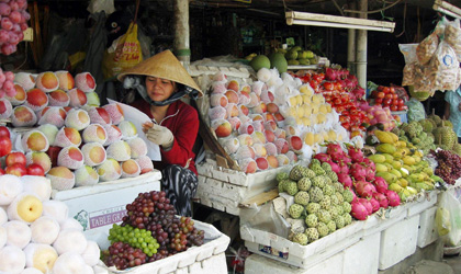 越南果蔬对华出口大幅增长54.9%