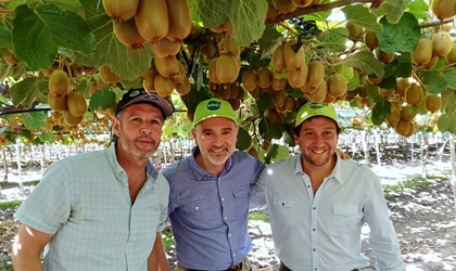 智利猕猴桃产季启动 Origine为Sweeki品牌造势