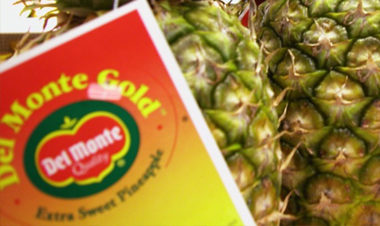 Fresh Del Monte 德尔蒙首季度11亿美元销售保持稳定 香蕉及其他果蔬部门引领增长