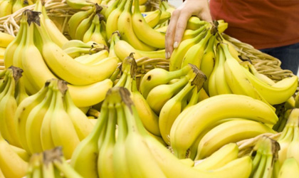 台农委会加码收购香蕉拯救价格 本周启动中东出口每周供应12吨