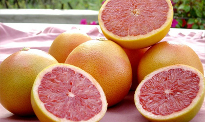 南非柑橘：本季总产量或达1.33亿箱再破纪录