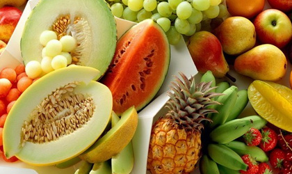 联合国粮食及农业组织主办首届热带水果病虫害国际大会