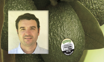 浆果巨头Naturipe全力进军牛油果品项 智利任命牛油果子公司CEO