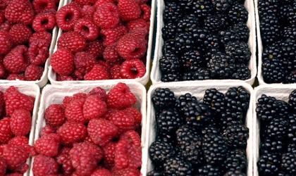 澳大利亚成立全新浆果协会Berries Australia 重点开发澳洲浆果出口业务