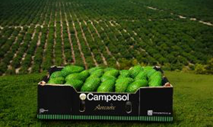 Camposol申请美交所IPO  拟筹资金4.5亿美元扩张市场