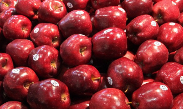 美国华盛顿苹果出口遭重创 本季损失近9亿人民币