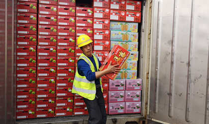 年初最大批台湾农产品抵达厦门口岸 1月至今进口台湾水果已超6000吨