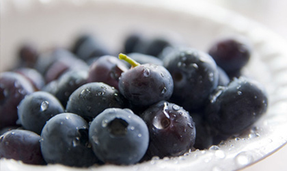 中国进口蓝莓需求五年内激增70%  果霜明显的坚实大颗果更受消费者青睐