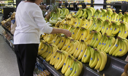进口香蕉价格指数发布：未来中国香蕉价格主要受进口量影响