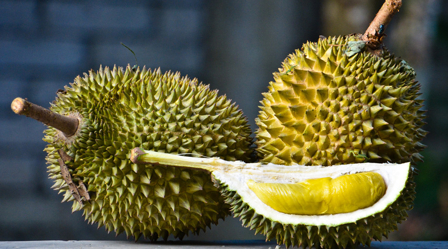 马来西亚榴莲：申请带壳榴莲对华出口果园数量持续增长