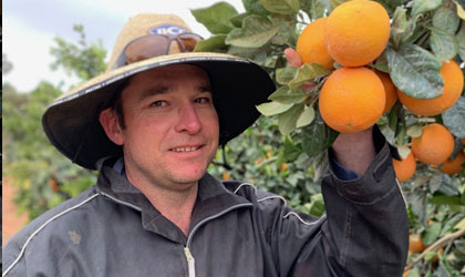 澳大利亚2019季柑橘品质七年最佳 97%以上受检样品超越糖酸比例理想指标