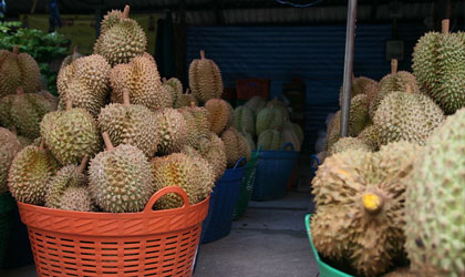 泰国水果：3月底或加大对华出口力度 出台多项措施辅助上市水果