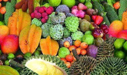 温州海关上半年截获违规入境水果751.32公斤 以东南亚热带水果为主