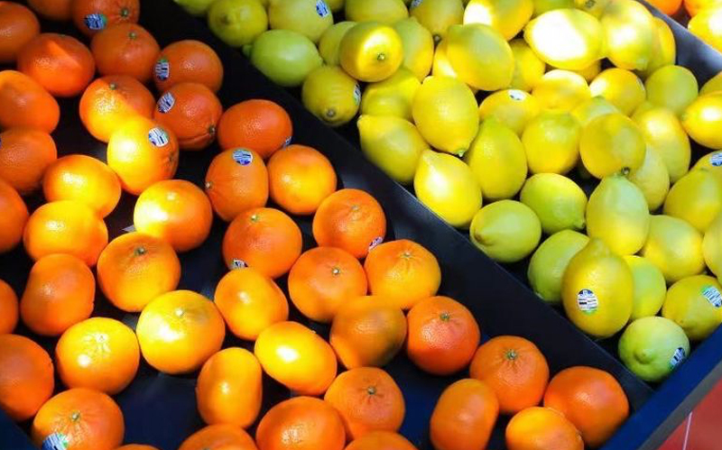 智利橙子和柠檬等柑橘产品有望输华 去年对华出口水果约100亿元寻求电商增长点