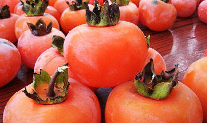 广州海关首次出口甜柿 23吨月柿远赴加拿大