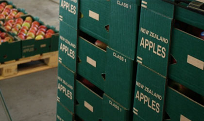 新西兰苹果和梨本季出口40万吨破纪录 中新自贸协定更新有利行业发展