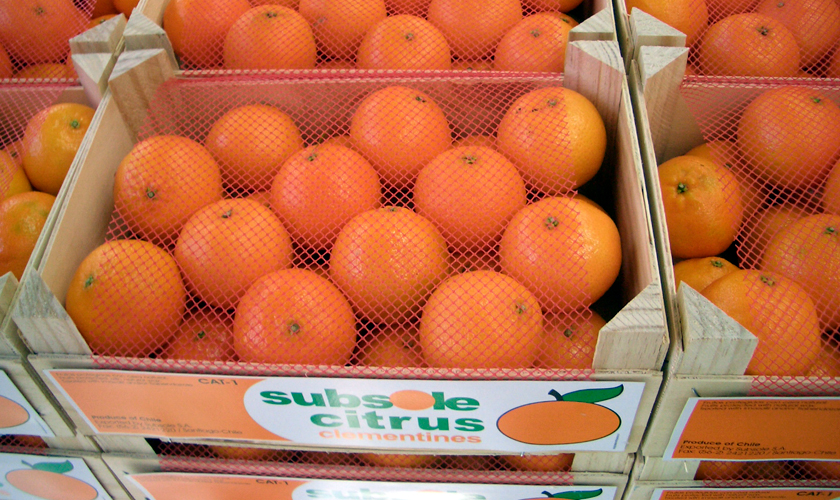 海关总署发布智利柑橘输华检疫要求 首批货物已获准发往中国
