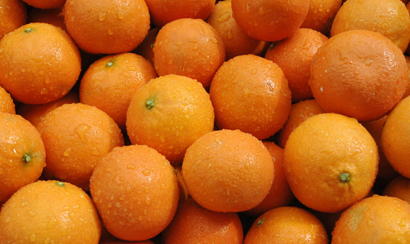 俄罗斯1月6日起限制进口中国柑橘类水果