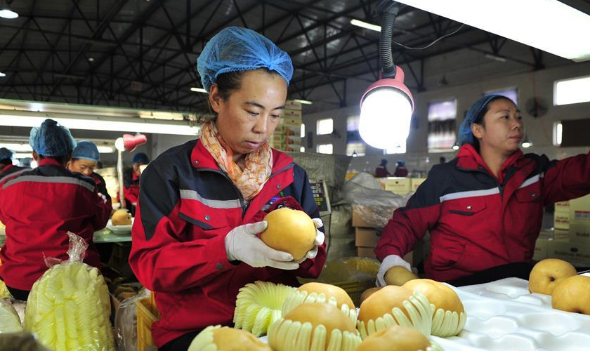 中国鲜梨敲开巴西市场大门 本季出口总量或达50万吨