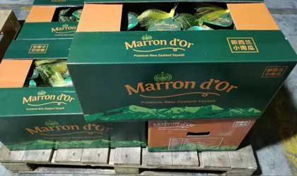 新西兰小南瓜：本季产量接近历史平均水平 Marron d’Or品牌吸引高端消费者