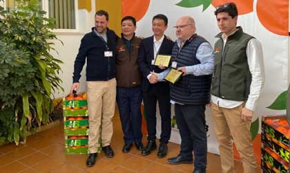 西班牙老牌柑橘企业García Ballester与丰鲜季语合资成立亚洲公司
