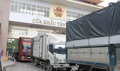 越南火龙果：21辆卡车满载火龙果昨日成功入华 中越边境货物滞留逐渐缓解