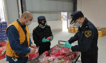 中国首班进境水果专列越南直达广西 156吨火龙果快速通关转发各地