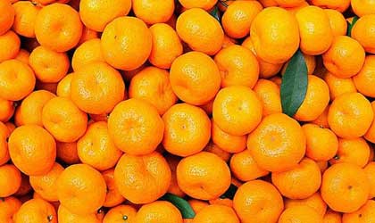 中国柚子、南丰蜜桔、椪柑、甜橙和温州蜜柑获准出口美国