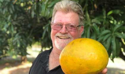 澳洲芒果产季总结：产量超1060万箱 出口占总量13%