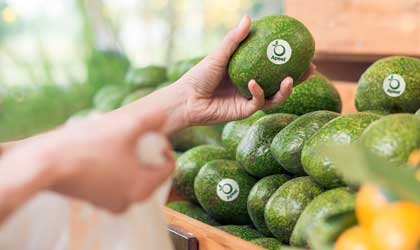 果蔬天然保鲜技术Apeel获2.5亿美元融资  今年为零售端节约水果浪费2000万颗