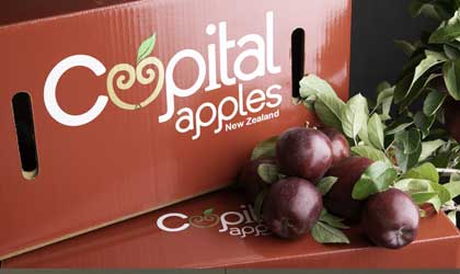 新西兰苹果：JR’s Orchards销量增长20%  Sunglow苹果中国需求走强